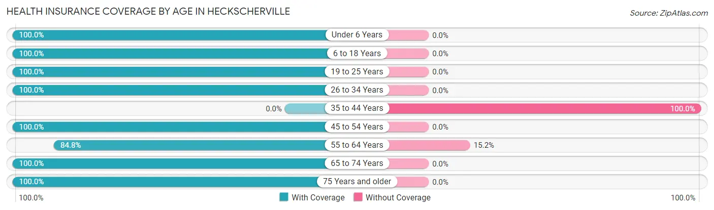 Health Insurance Coverage by Age in Heckscherville