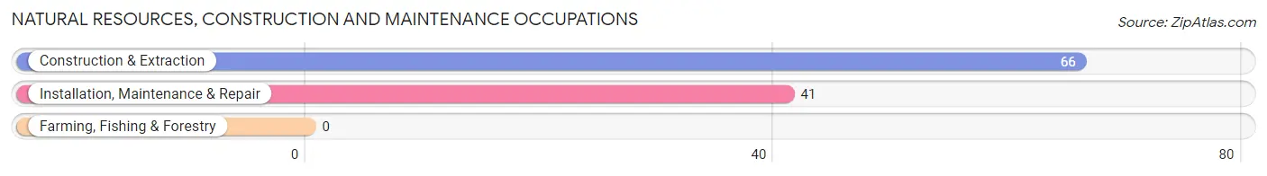 Natural Resources, Construction and Maintenance Occupations in Heidelberg borough