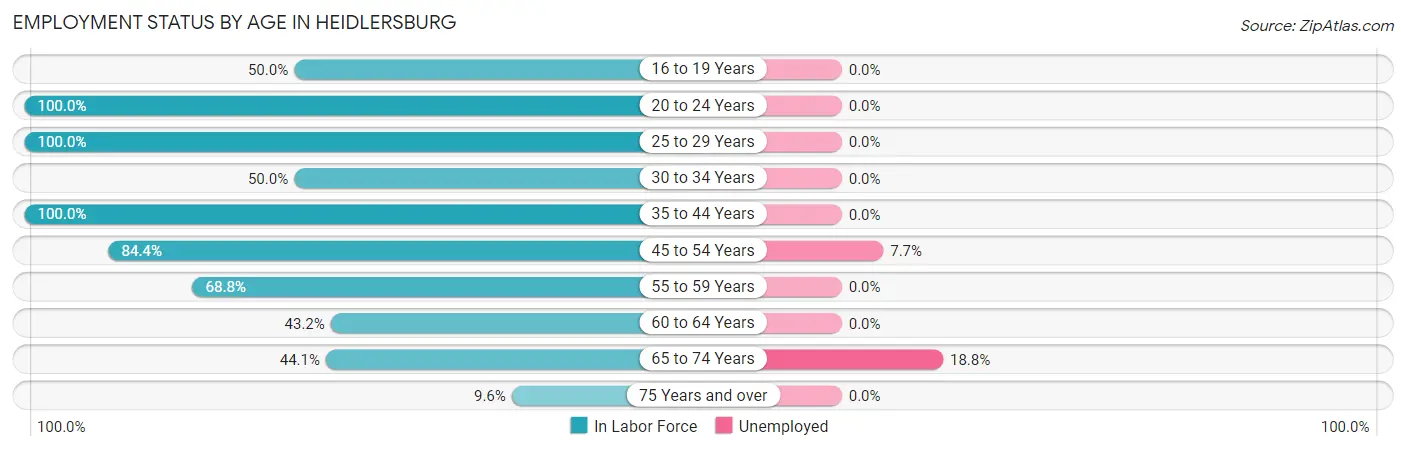 Employment Status by Age in Heidlersburg