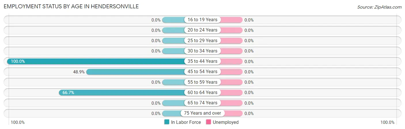 Employment Status by Age in Hendersonville