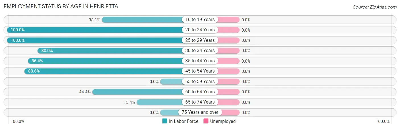 Employment Status by Age in Henrietta