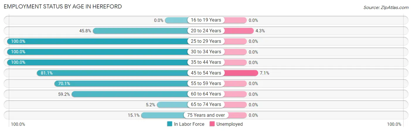Employment Status by Age in Hereford