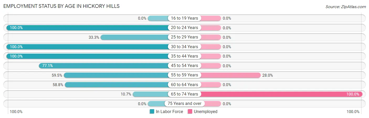 Employment Status by Age in Hickory Hills