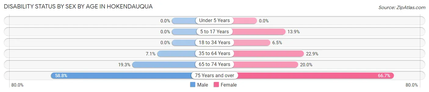 Disability Status by Sex by Age in Hokendauqua