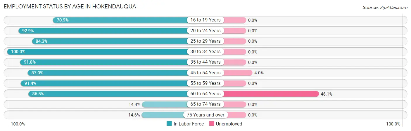 Employment Status by Age in Hokendauqua