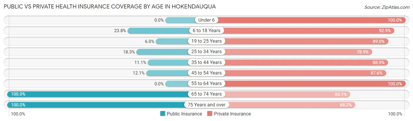 Public vs Private Health Insurance Coverage by Age in Hokendauqua