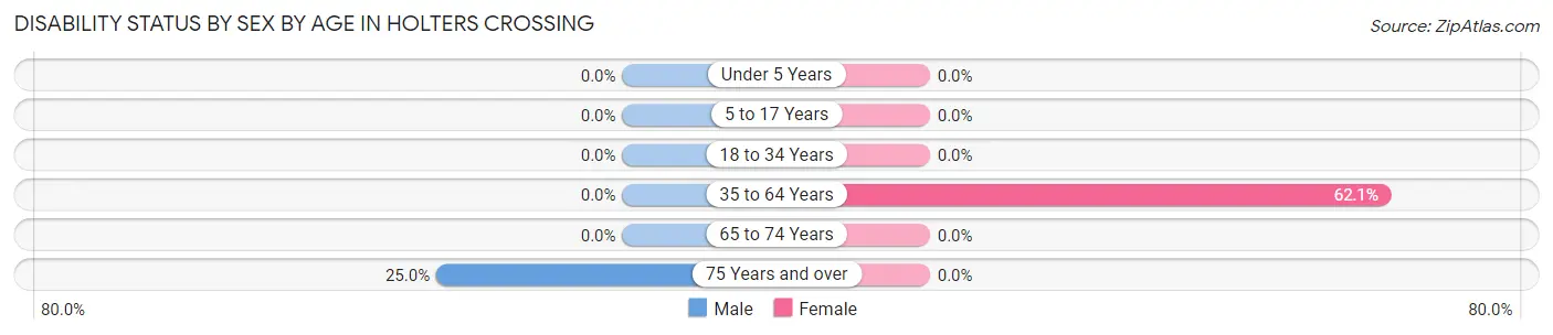 Disability Status by Sex by Age in Holters Crossing