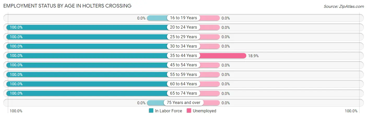 Employment Status by Age in Holters Crossing