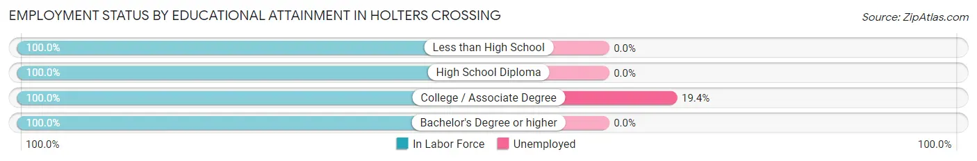 Employment Status by Educational Attainment in Holters Crossing