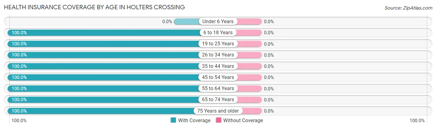 Health Insurance Coverage by Age in Holters Crossing
