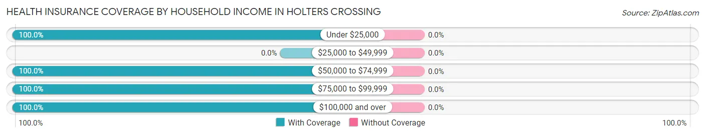Health Insurance Coverage by Household Income in Holters Crossing