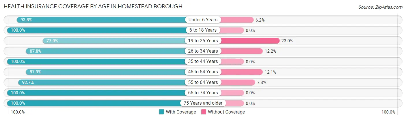 Health Insurance Coverage by Age in Homestead borough