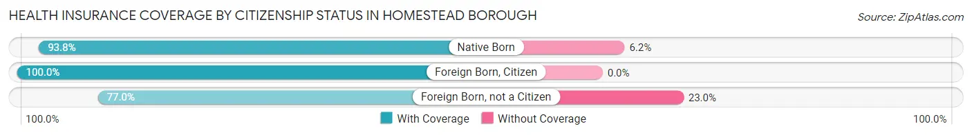 Health Insurance Coverage by Citizenship Status in Homestead borough