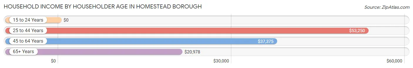 Household Income by Householder Age in Homestead borough