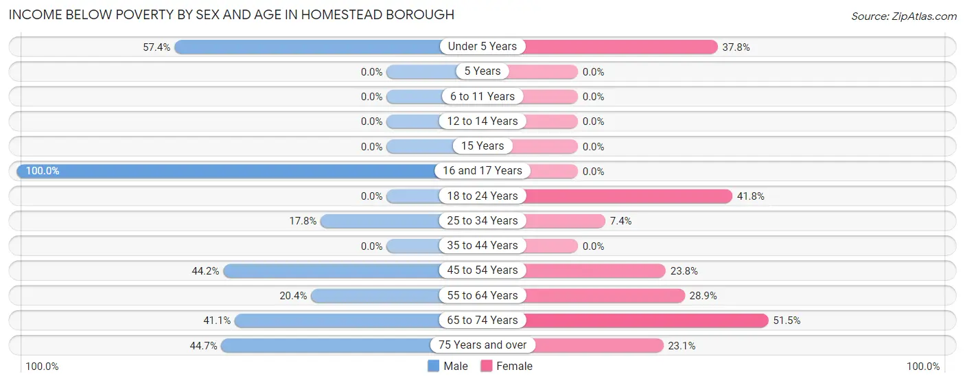 Income Below Poverty by Sex and Age in Homestead borough
