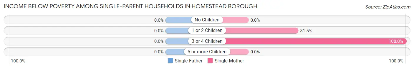 Income Below Poverty Among Single-Parent Households in Homestead borough
