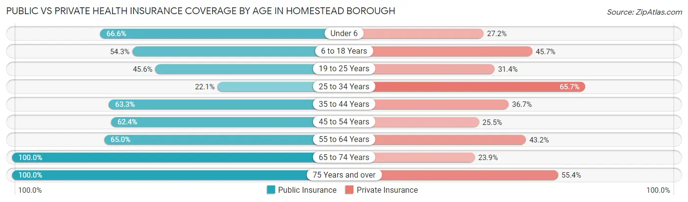 Public vs Private Health Insurance Coverage by Age in Homestead borough