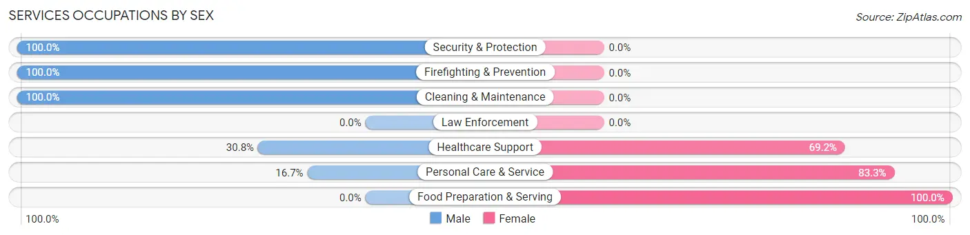 Services Occupations by Sex in Homestead borough