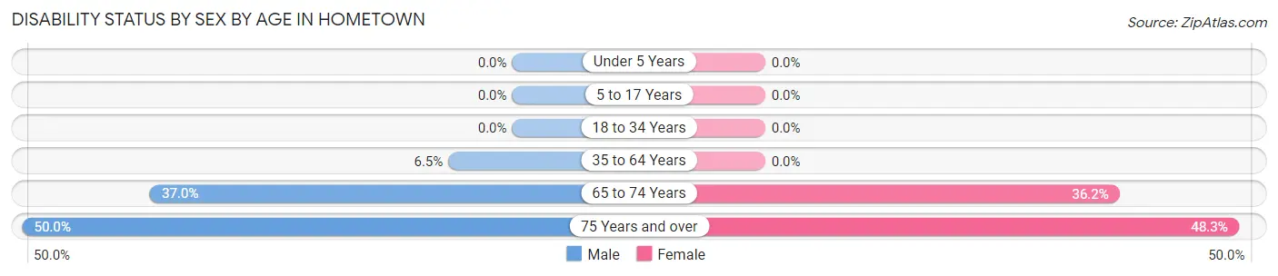 Disability Status by Sex by Age in Hometown