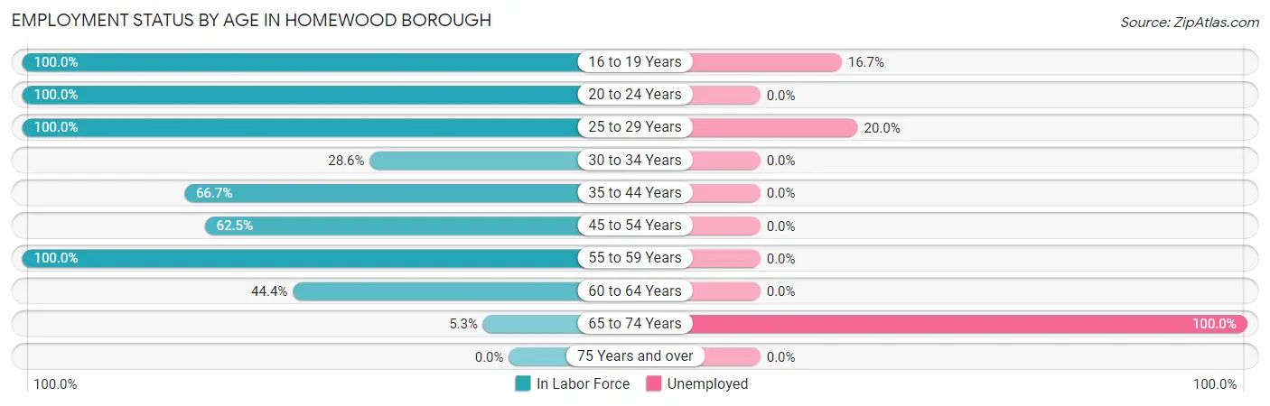 Employment Status by Age in Homewood borough