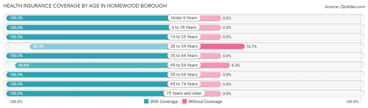 Health Insurance Coverage by Age in Homewood borough