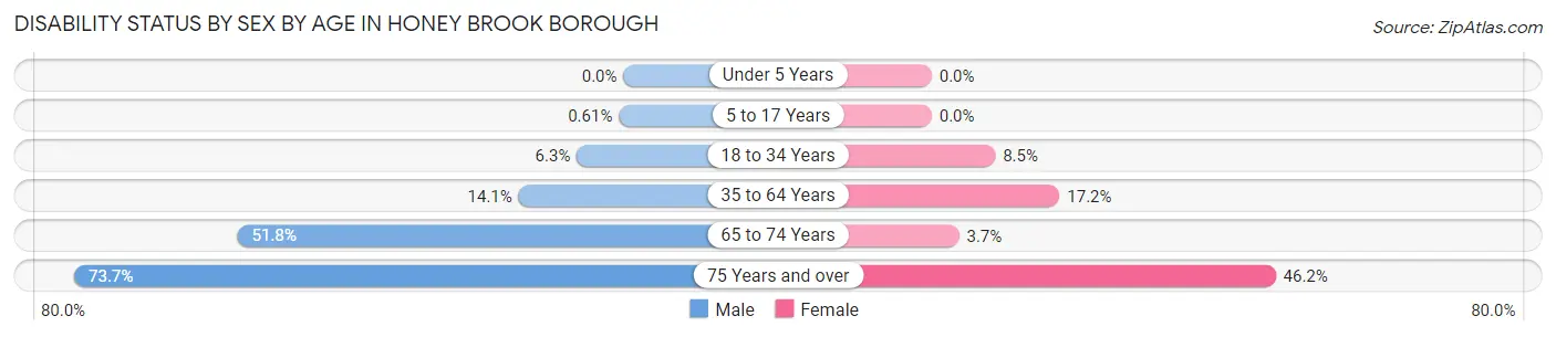 Disability Status by Sex by Age in Honey Brook borough