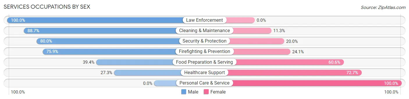 Services Occupations by Sex in Honey Brook borough