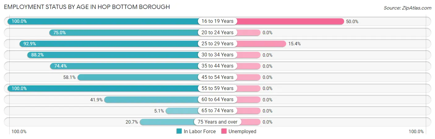 Employment Status by Age in Hop Bottom borough