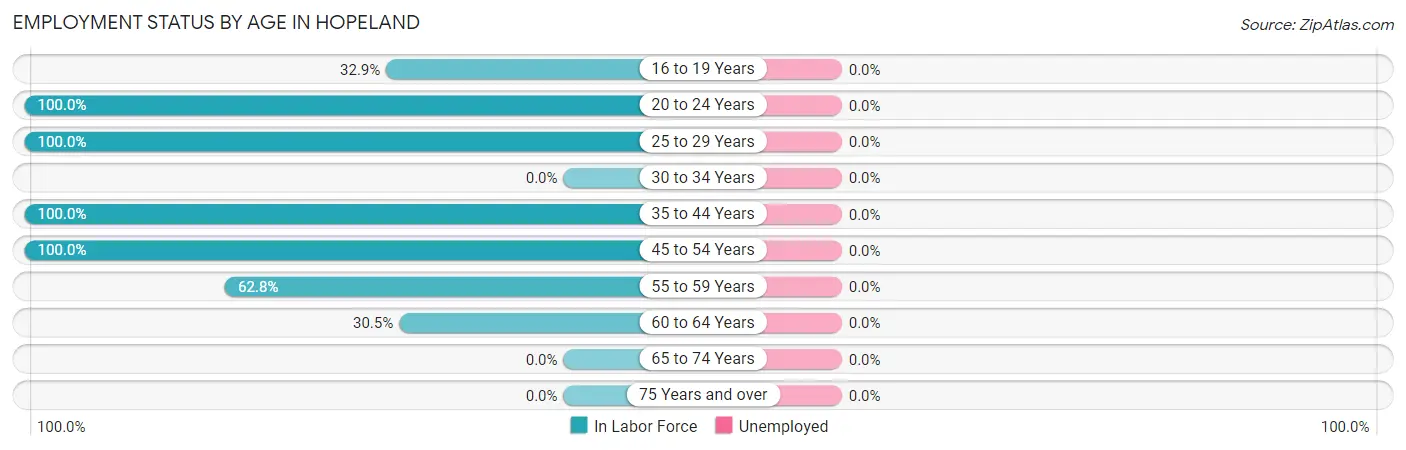 Employment Status by Age in Hopeland