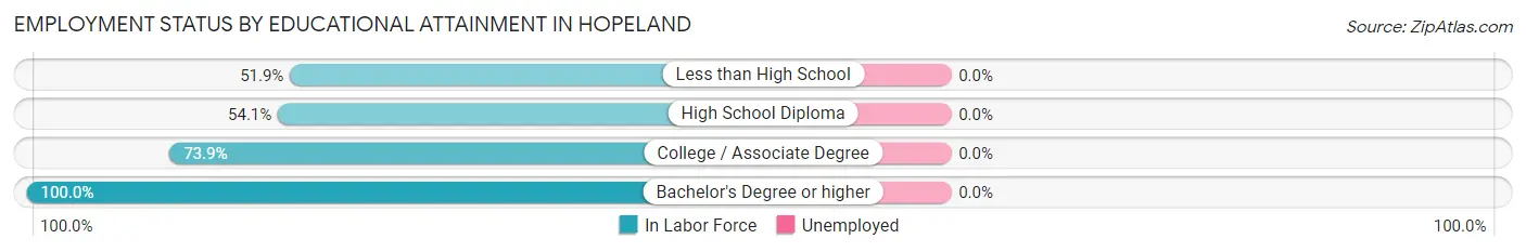 Employment Status by Educational Attainment in Hopeland