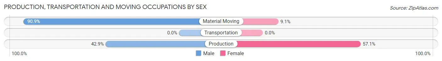 Production, Transportation and Moving Occupations by Sex in Hopewell borough