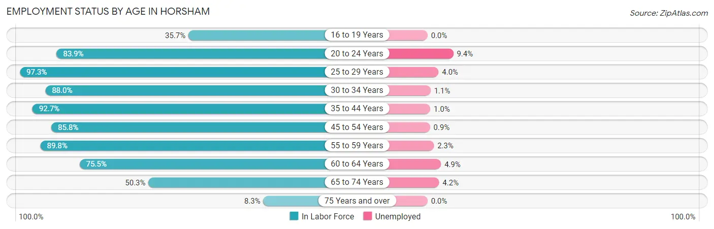 Employment Status by Age in Horsham