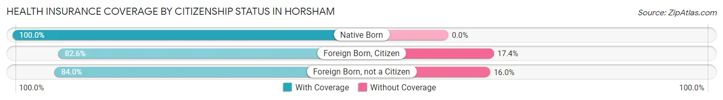 Health Insurance Coverage by Citizenship Status in Horsham
