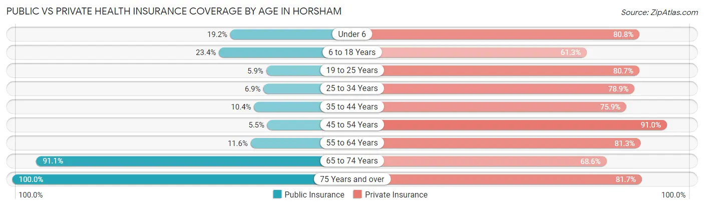 Public vs Private Health Insurance Coverage by Age in Horsham
