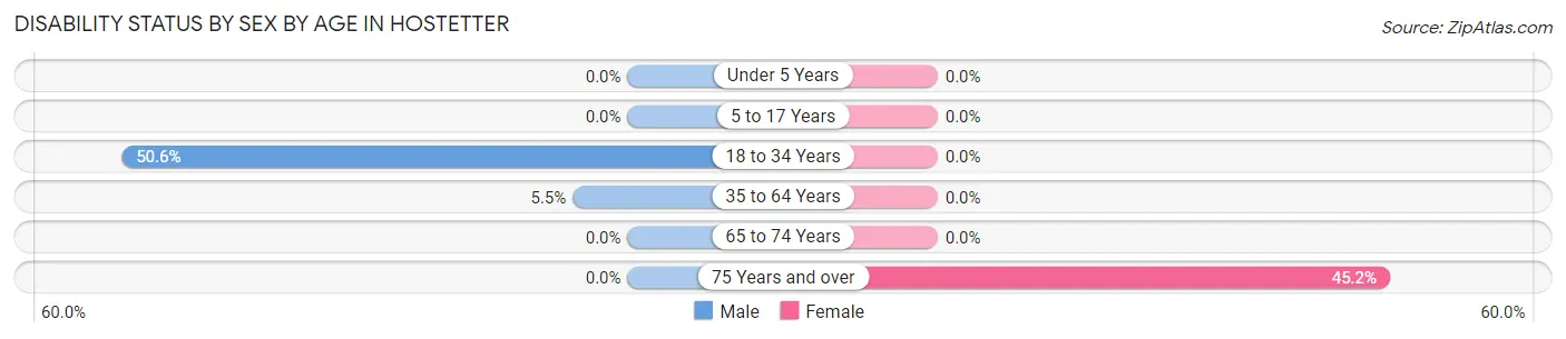 Disability Status by Sex by Age in Hostetter