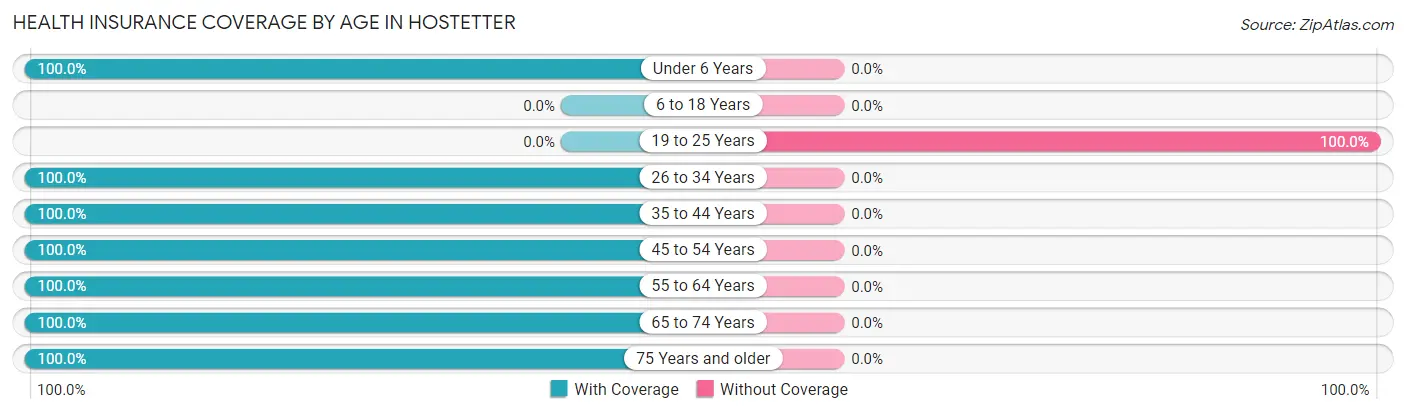 Health Insurance Coverage by Age in Hostetter