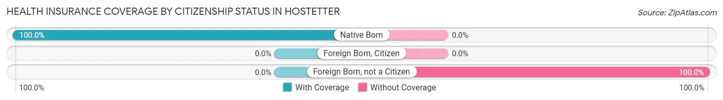 Health Insurance Coverage by Citizenship Status in Hostetter