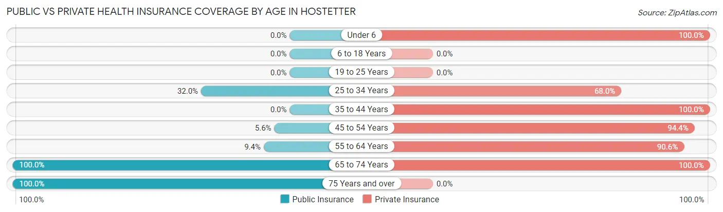 Public vs Private Health Insurance Coverage by Age in Hostetter