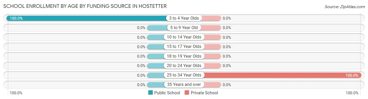 School Enrollment by Age by Funding Source in Hostetter