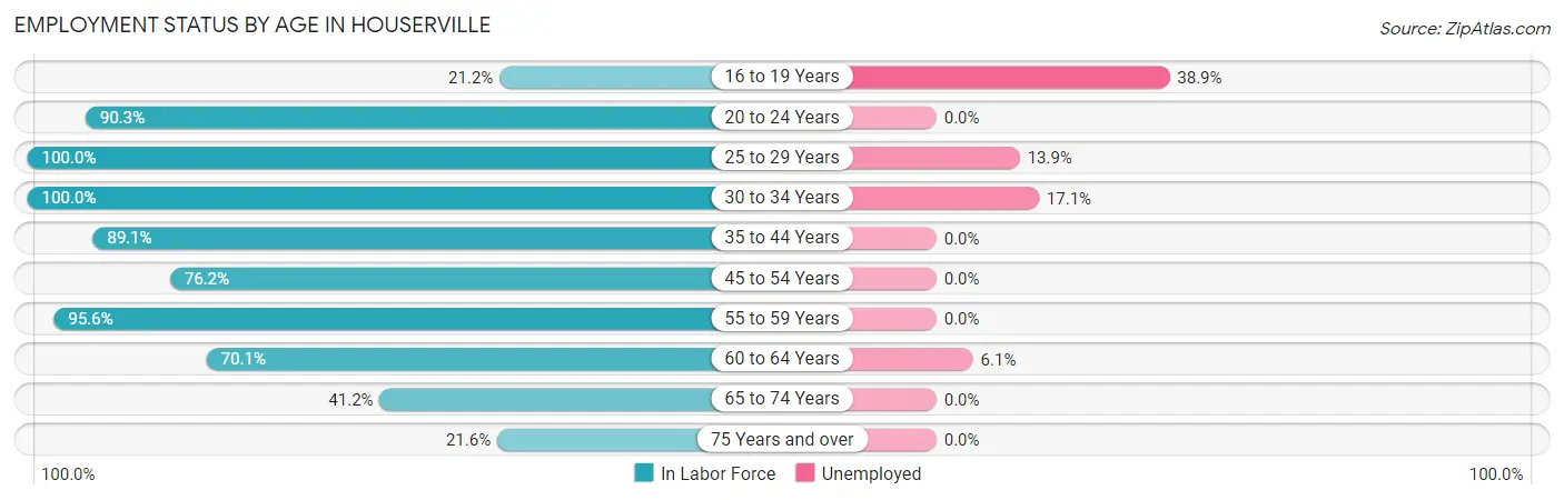 Employment Status by Age in Houserville