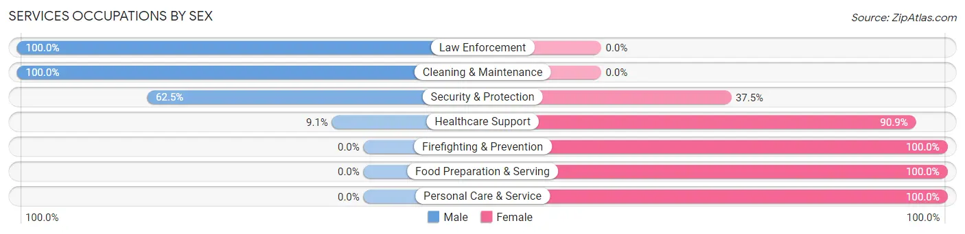 Services Occupations by Sex in Howard borough