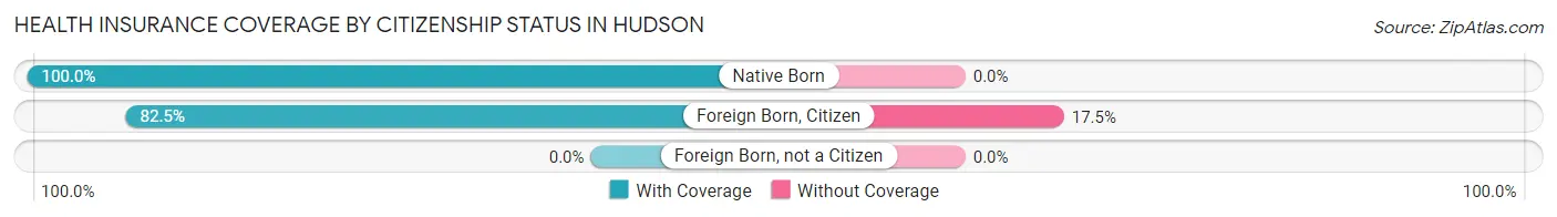 Health Insurance Coverage by Citizenship Status in Hudson