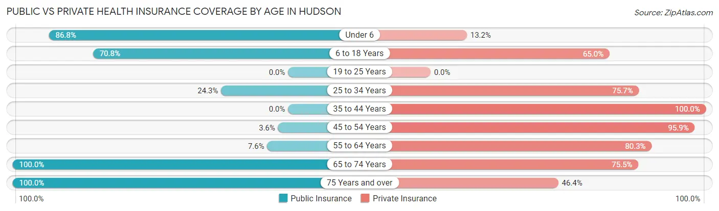 Public vs Private Health Insurance Coverage by Age in Hudson