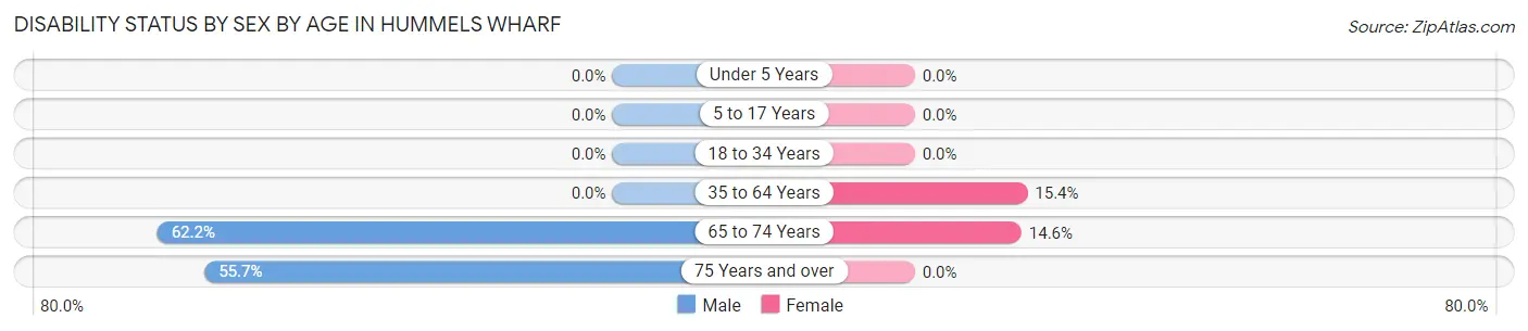 Disability Status by Sex by Age in Hummels Wharf