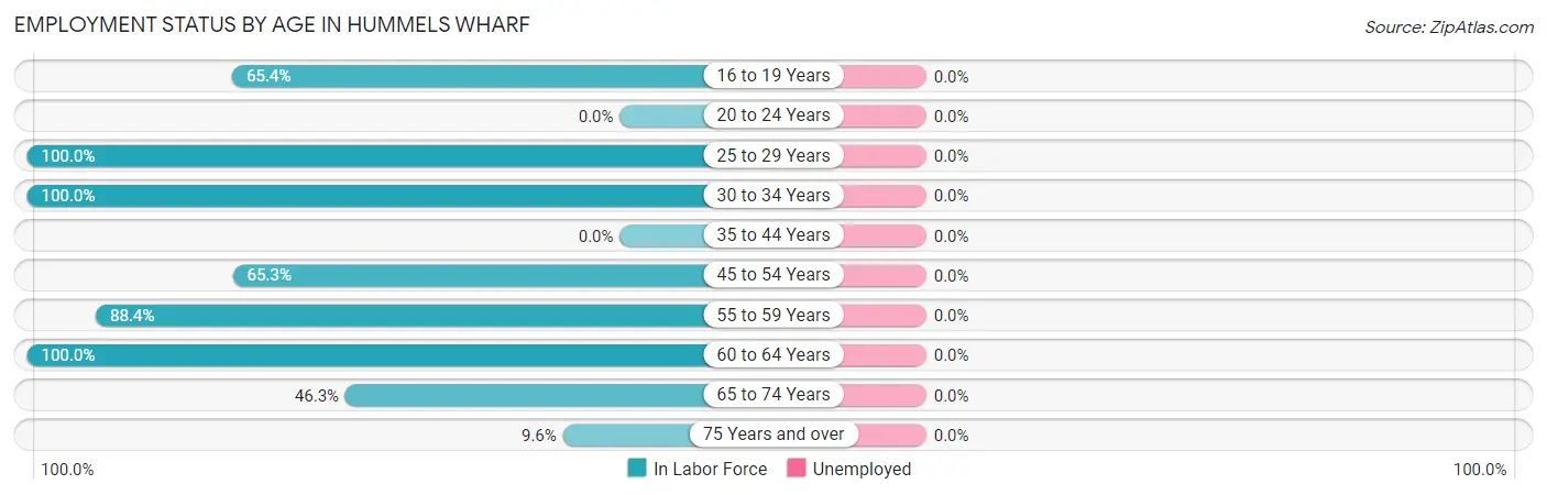 Employment Status by Age in Hummels Wharf
