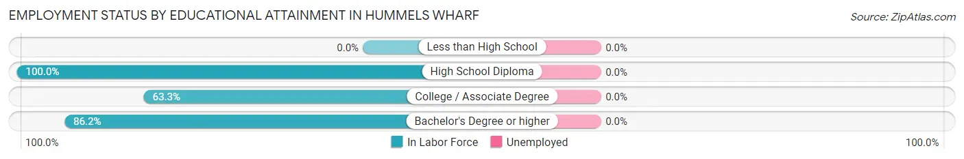 Employment Status by Educational Attainment in Hummels Wharf