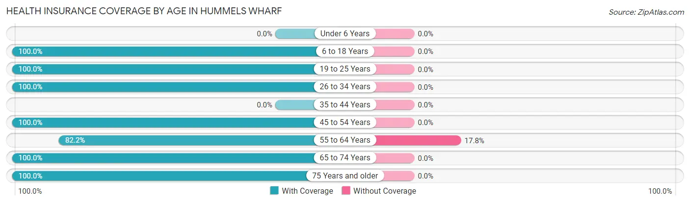 Health Insurance Coverage by Age in Hummels Wharf
