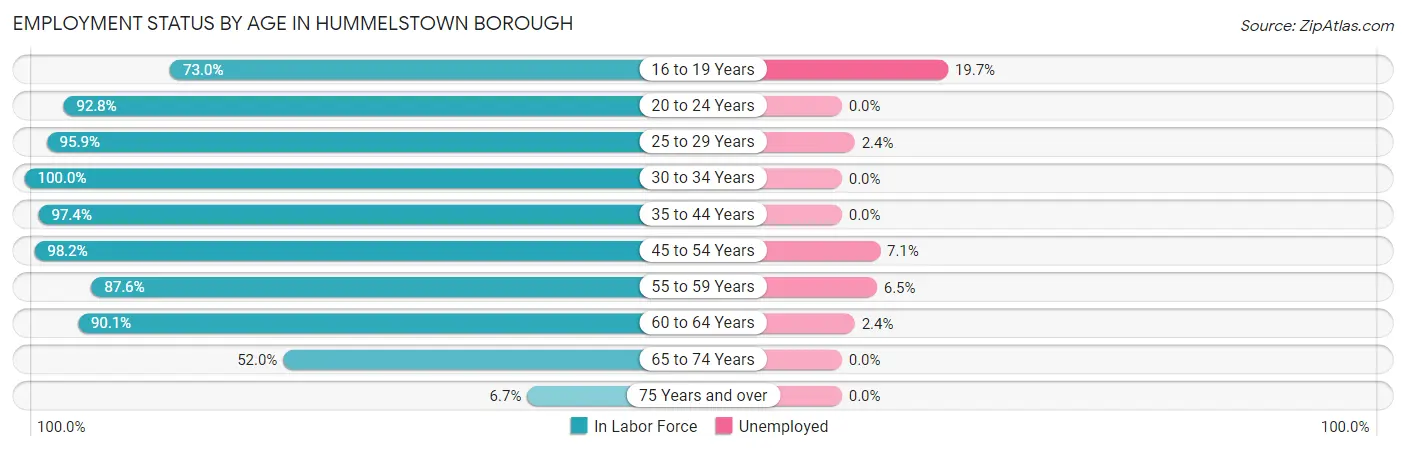 Employment Status by Age in Hummelstown borough