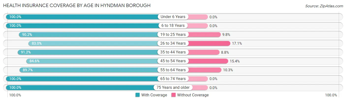 Health Insurance Coverage by Age in Hyndman borough
