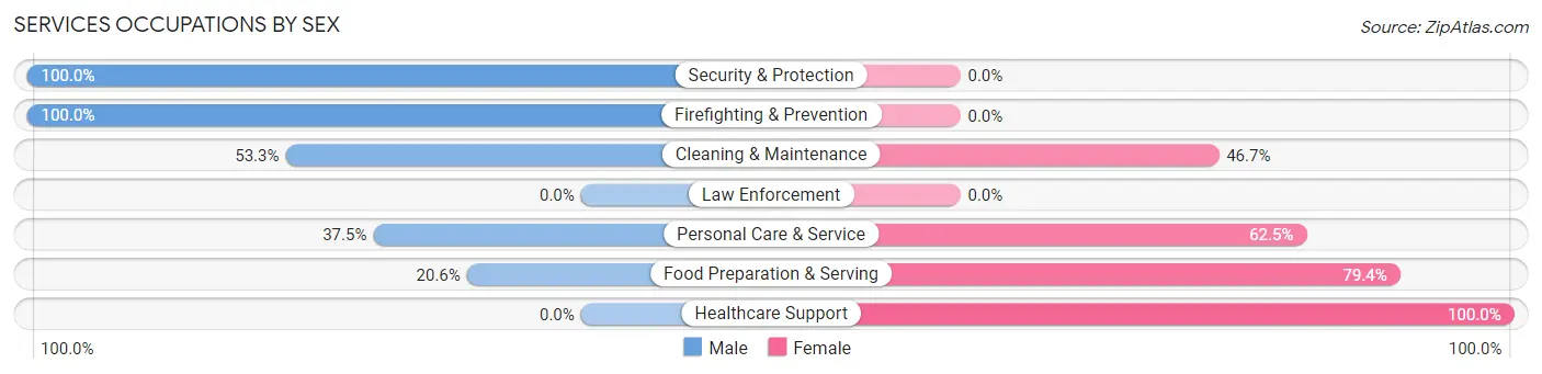 Services Occupations by Sex in Hyndman borough
